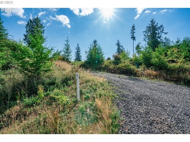 Introducing Delta Vista Community! An upscale community with - photo 2