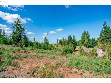 Introducing Delta Vista Community! An upscale community with - photo 4