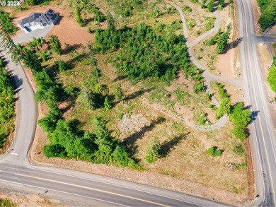 Introducing Delta Vista Community! An upscale community with - photo 5