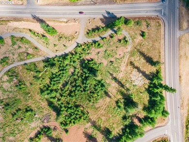 Introducing Delta Vista Community! An upscale community with - photo 7
