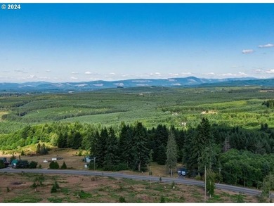 Introducing Delta Vista Community! An upscale community with - photo 10