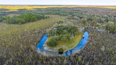 Tsala Apopka Chain of Lakes Acreage For Sale in Floral City Florida