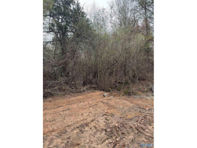 Lake Lot For Sale in Hollywood, Alabama