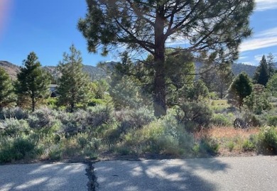 (private lake, pond, creek) Lot For Sale in Loyalton California