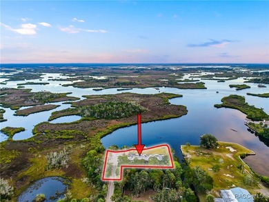 Saint Martins River Home For Sale in Crystal River Florida