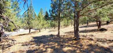 Lake Lot For Sale in Weed, California