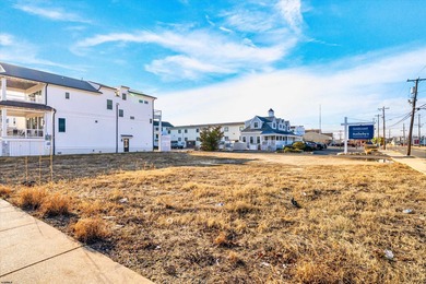Prime Vacant Lot & High-Visibility Location on the CORNER of - photo 14
