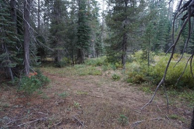 Lake Lot For Sale in Bucks Lake, California