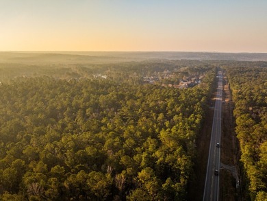 (private lake, pond, coastal) Acreage For Sale in Spanish Fort Alabama