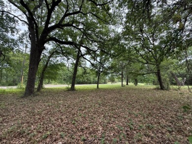 Peaceful .65 Acre Homesite with Boat Ramp Access in April Cove - photo 20