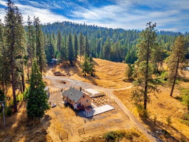 (private lake, pond, creek) Home For Sale in Groveland California