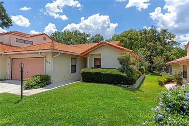 Lake Henderson Home For Sale in Inverness Florida