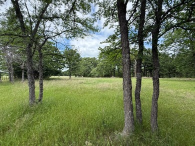 Peaceful .65 Acre Homesite with Boat Ramp Access in April Cove - photo 9