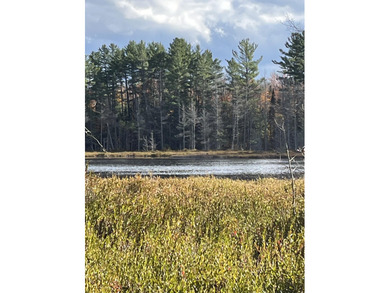 Lake Acreage For Sale in Newberry, Michigan