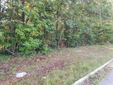 Lake Lanier Acreage For Sale in Flowery Branch Georgia