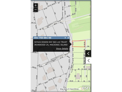 Lake Huron - Mackinac County Lot For Sale in Mackinac Island Michigan