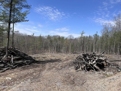 Lake Acreage For Sale in Lakeville, Pennsylvania