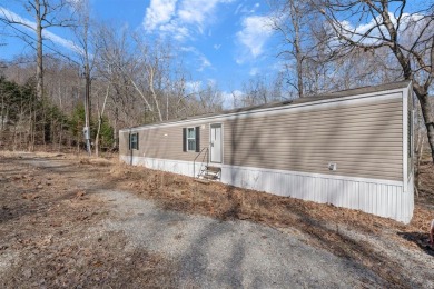 Lake Home For Sale in Cub Run, Kentucky