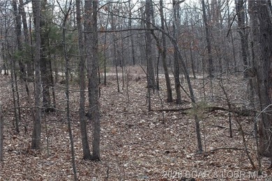 Triangular parcel in Proctor Tower Estates just 10 minutes north - photo 11