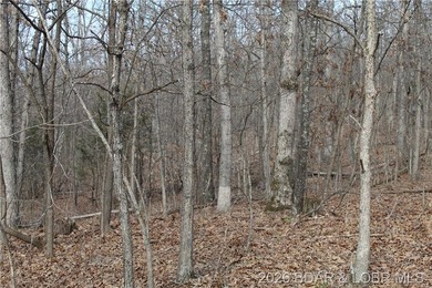 Triangular parcel in Proctor Tower Estates just 10 minutes north - photo 12