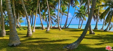 Motu Fara is an extraordinary private island estate set within - photo 13