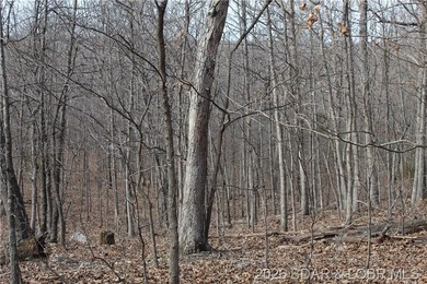 Triangular parcel in Proctor Tower Estates just 10 minutes north - photo 13