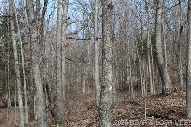 Triangular parcel in Proctor Tower Estates just 10 minutes north - photo 14