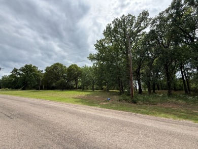 Peaceful .65 Acre Homesite with Boat Ramp Access in April Cove - photo 3