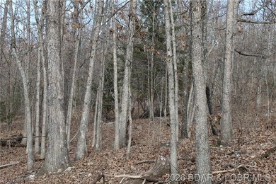 Triangular parcel in Proctor Tower Estates just 10 minutes north - photo 15