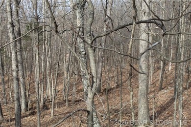 Triangular parcel in Proctor Tower Estates just 10 minutes north - photo 16