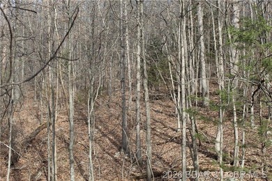 Triangular parcel in Proctor Tower Estates just 10 minutes north - photo 17