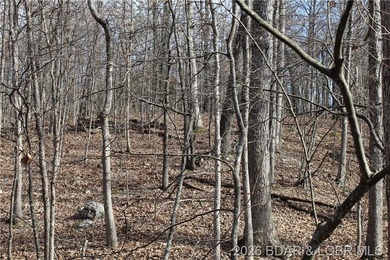 Triangular parcel in Proctor Tower Estates just 10 minutes north - photo 18