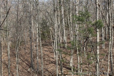 Triangular parcel in Proctor Tower Estates just 10 minutes north - photo 19