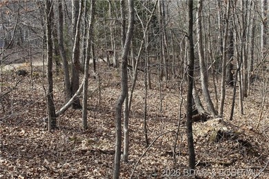 Triangular parcel in Proctor Tower Estates just 10 minutes north - photo 20