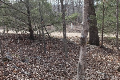 Triangular parcel in Proctor Tower Estates just 10 minutes north - photo 21