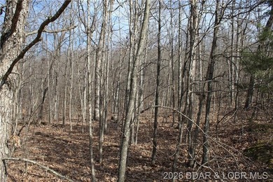 Triangular parcel in Proctor Tower Estates just 10 minutes north - photo 22