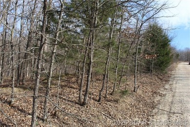 Triangular parcel in Proctor Tower Estates just 10 minutes north - photo 23