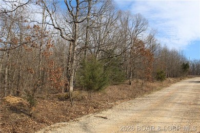 Triangular parcel in Proctor Tower Estates just 10 minutes north - photo 24