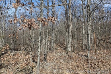 Triangular parcel in Proctor Tower Estates just 10 minutes north - photo 25