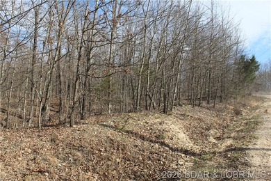 Triangular parcel in Proctor Tower Estates just 10 minutes north - photo 26