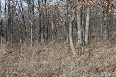 Triangular parcel in Proctor Tower Estates just 10 minutes north - photo 27