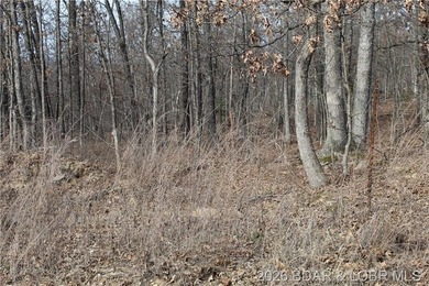 Triangular parcel in Proctor Tower Estates just 10 minutes north - photo 28