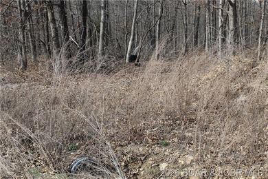 Triangular parcel in Proctor Tower Estates just 10 minutes north - photo 29