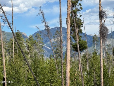 Perfect horse property close to Grand Lake. Lot 3 offers a rare - photo 2