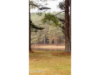 This Property is made of 146+/- acres. It is a beautiful - photo 4