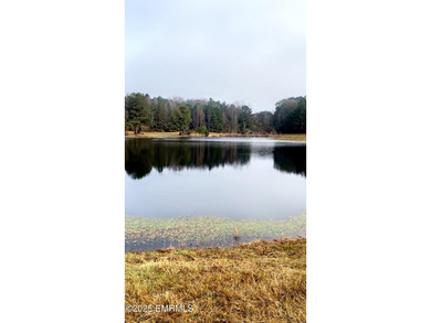 This Property is made of 146+/- acres. It is a beautiful - photo 6