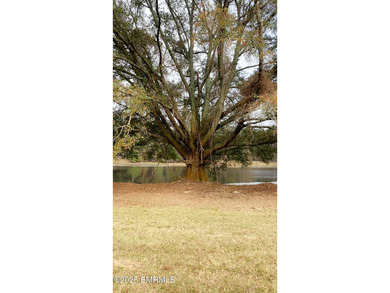 This Property is made of 146+/- acres. It is a beautiful - photo 7