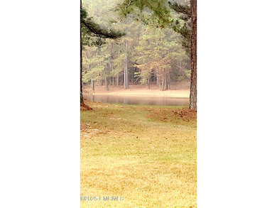 This Property is made of 146+/- acres. It is a beautiful - photo 8
