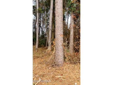 This Property is made of 146+/- acres. It is a beautiful - photo 9