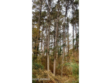 This Property is made of 146+/- acres. It is a beautiful - photo 10